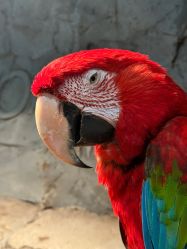 -Zoolung Zoolung动物主题公园(海信广场店)