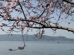 -西湖天地
