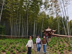 -宜兴龙背山森林公园