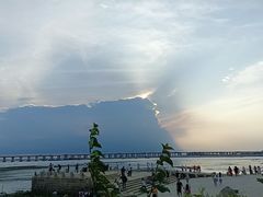 -宝安西湾红树林湿地公园