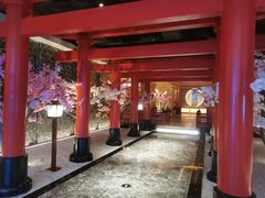 -蓝鲸湾汤泉(包河店)