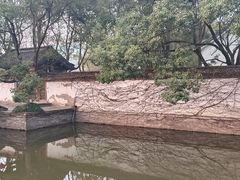-鲁镇