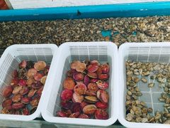 -桔子海鲜烧烤大排档(金沙滩店)