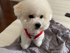 -熊小胖宠物生活馆(天华园店)