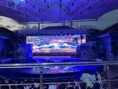 -三亚海昌梦幻海洋不夜城