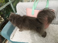 -小时光咖啡馆(北锣鼓巷店)
