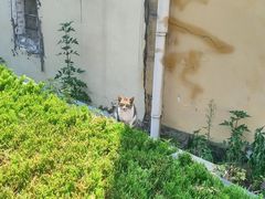 -观象山公园