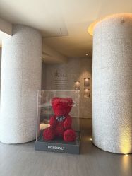 -VELEE·SPA高定疗愈会所