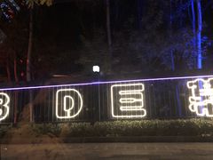 -枫花园汽车电影院(朝阳公园店)
