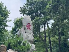 -东湖落雁景区