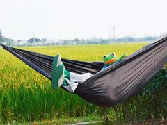 -嘉北郊野公园