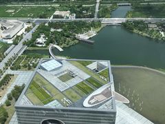 -嘉定凯悦·咖啡厅