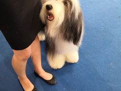 -东浩兰生上海世博展览馆