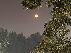 -万柳高尔夫俱乐部