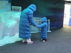 -海合安武汉极地海洋公园