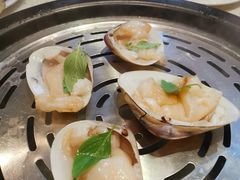-青蓬蒸汽海鲜·深圳老字号·团建聚会(壹方城店)
