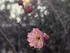 -木塔寺遗址生态公园