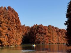 -上海海湾国家森林公园