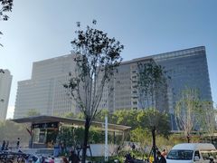 -郑州大学第一附属医院(河医院区)