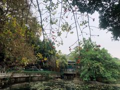 -荔湾湖公园