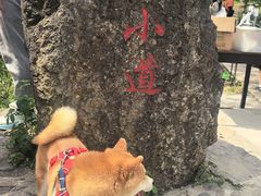 -南北湖风景区