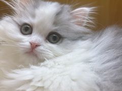 -环球汇·天誉