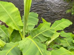 -东天目山风景区