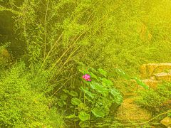 -天津盘山风景名胜区