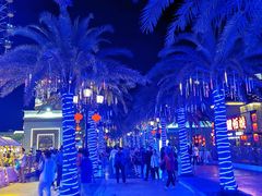 -三亚海昌梦幻海洋不夜城