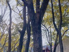 -宁波市保国寺古建筑博物馆