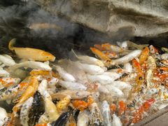 -皇家极地海洋世界-售票处