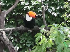 -泉州海丝野生动物世界