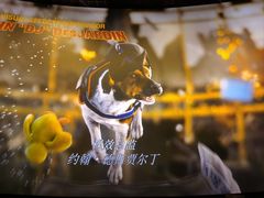 -万象影城(石家庄万象城IMAX激光店)