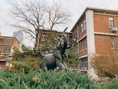 -天津五大道文化旅游区