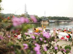 -观澜山水田园