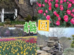 -无锡梅园公园
