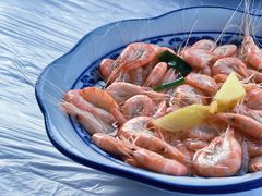 白米虾-洞天食府(北大街店)