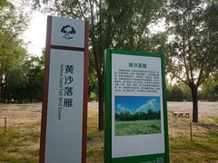 -东郊湿地公园