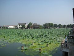 -金龟岛渔村