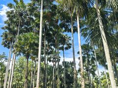 -中国科学院西双版纳热带植物园