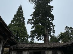 -云中大漈