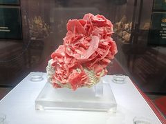 -湖南省地质博物馆