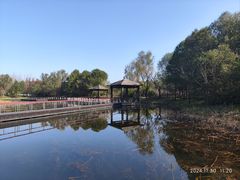 -同里国家湿地公园