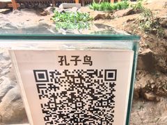 -中国第四纪冰川遗迹陈列馆