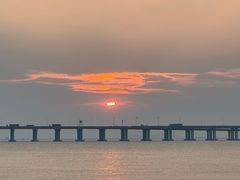 -宝安西湾红树林湿地公园