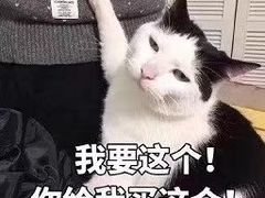 -中影新星影城(万科锦程店)