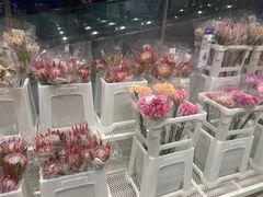 -盒马X会员店(上海森兰商都店)