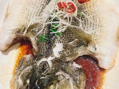 清蒸鲈鱼-紫光园·烤鸭·北京菜(团结湖店)
