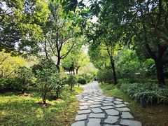 -云溪植物园