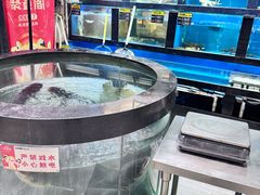 -聚鑫阁江浙菜·非遗传承技艺(青村帝华园店)